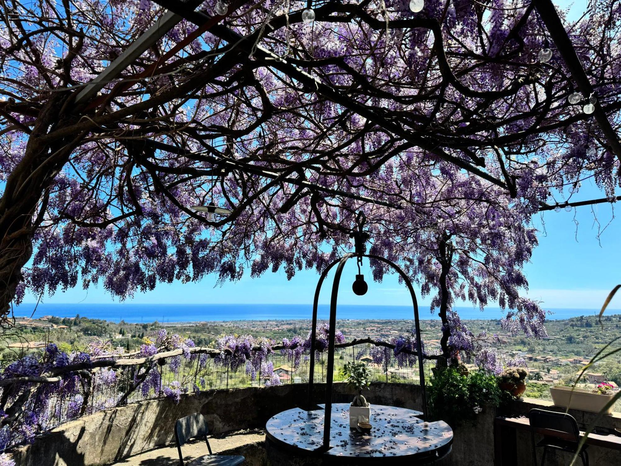 Il Noceto Dell'Etna Panzió Giarre Kültér fotó